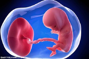 医生